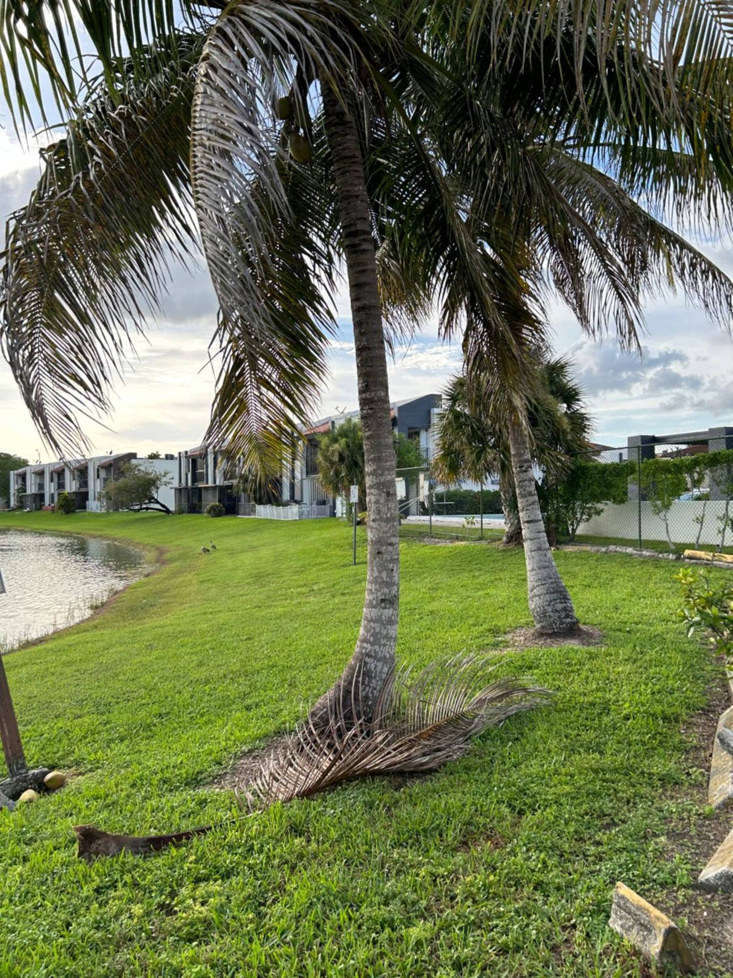 Beautiful Apartment With Very Elegant Colonial Decoration Tamiami Eksteriør billede